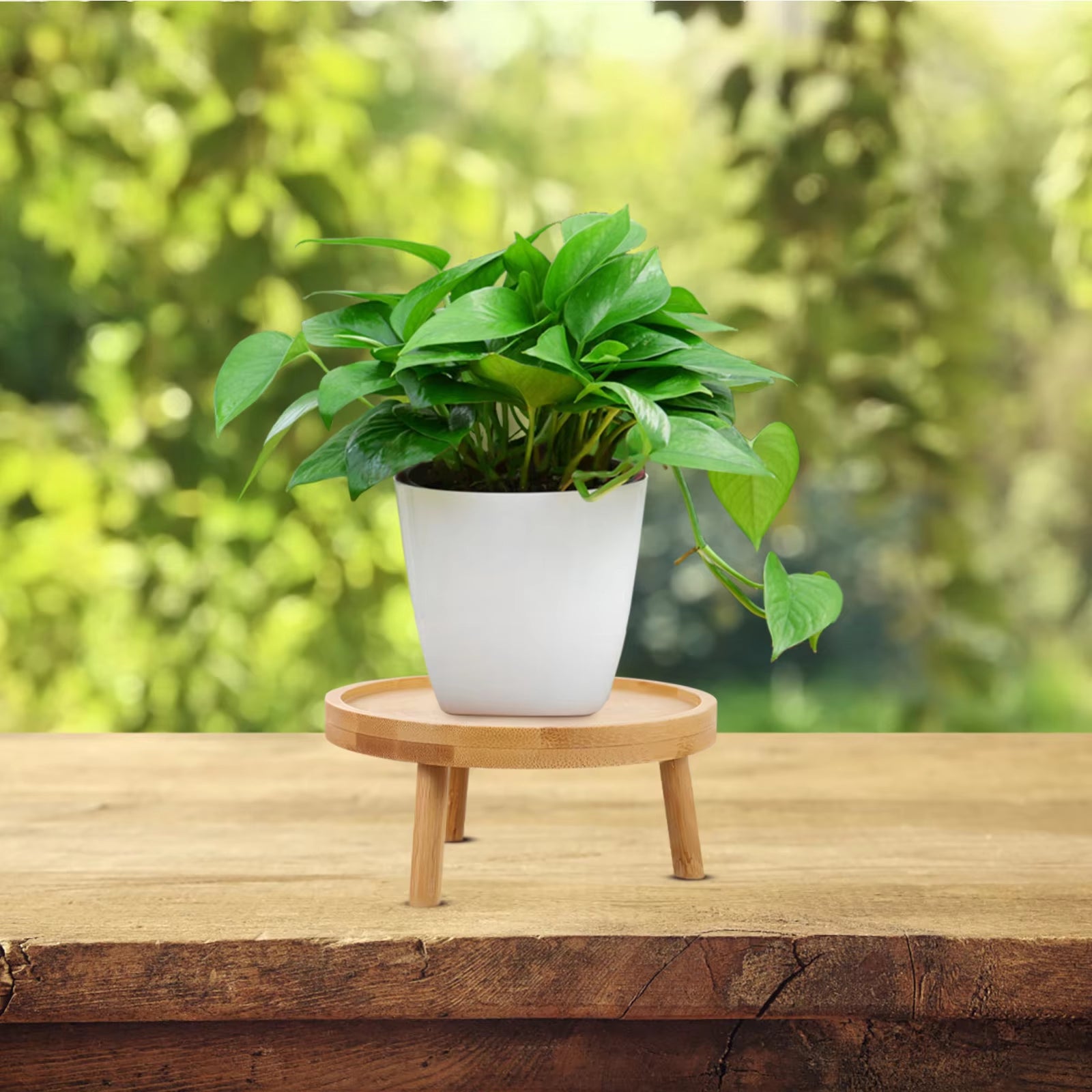 Wooden Planter Display Stand