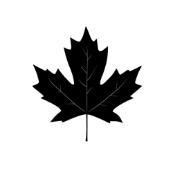 Maple Leaf icon