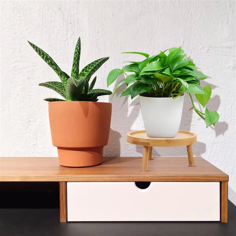 Wooden Planter Display Stand